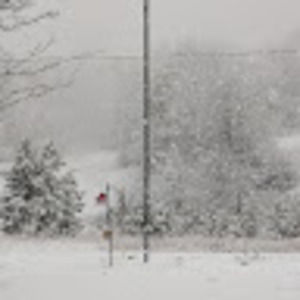 Meet your Posher, Hunter